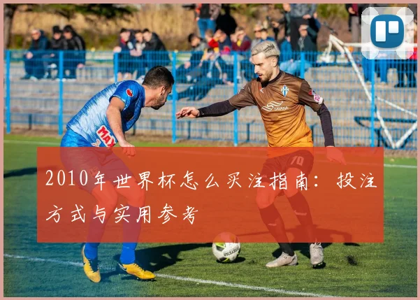 2010年世界杯怎么买注指南:投注方式与实用参考